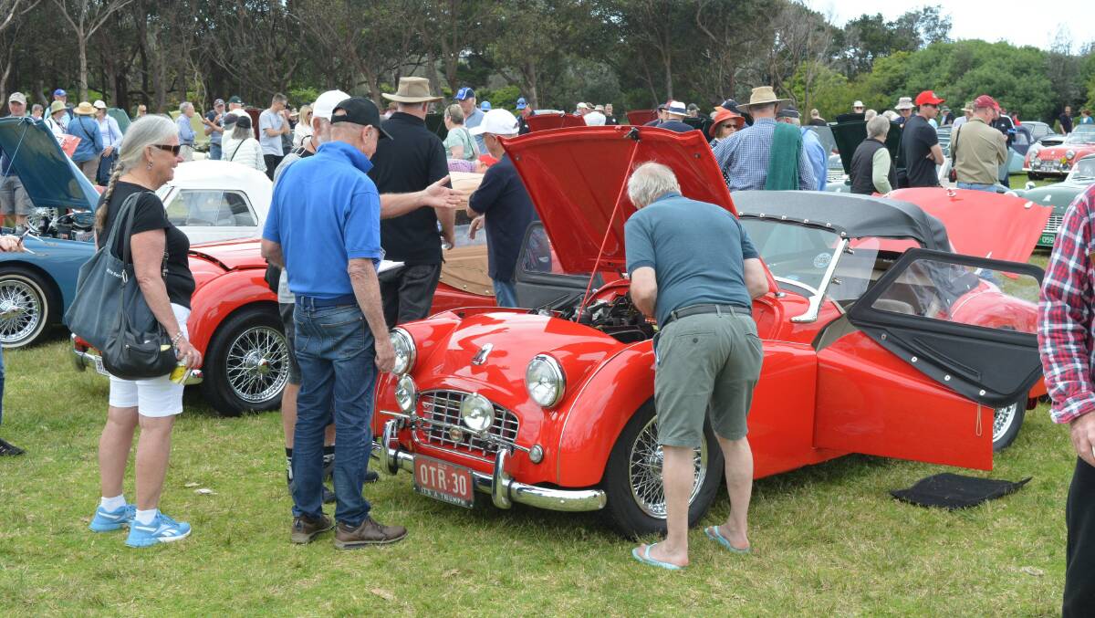 Triumphs on display at Ford Park Merimbula, October 15, 2022. Pictures by Ben Smyth