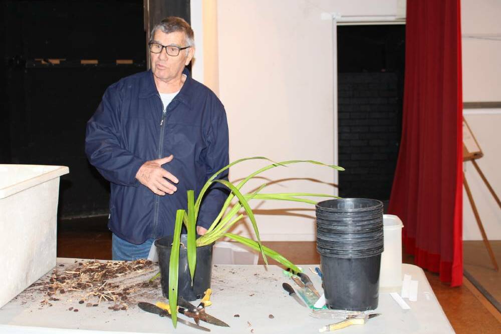 Phil Grech of Bairnsdale discusses repotting cymbidiums during a workshop at the weekend's Sapphire Coast Orchid ClubsShow.