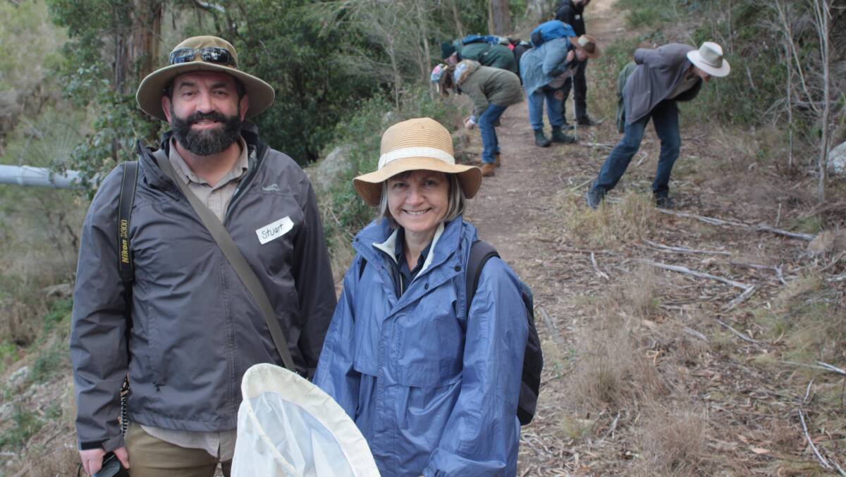 BUG HUNT: Stuart Harris and Helen Ransom search for spiders and bugs during the 2017 Merimbula Creek Bioblitz.