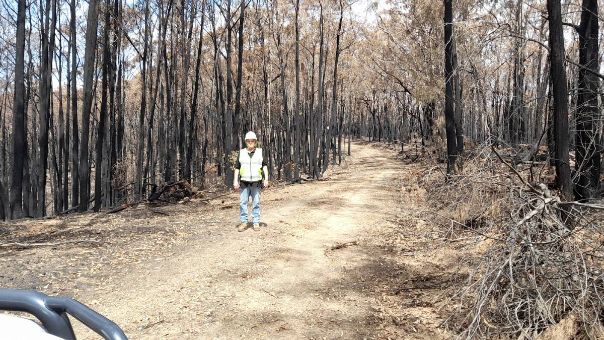 Janine Green from WIRES searches the burnt areas for injured wildlife. Picture supplied