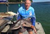 Chris Young at the club's Merimbula cleaning pontoon presents his prize winning gummy shark. Picture supplied