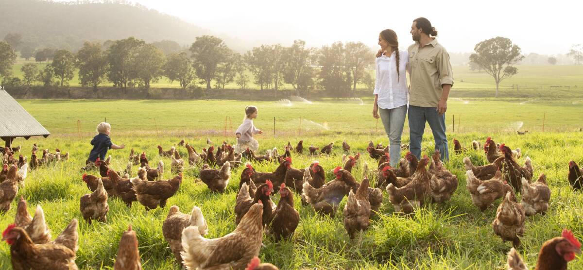 Bega Valley Eggs' Tom and Joscelin McMillan have had a large order postponed so are calling on groups in the district able to make use of them.