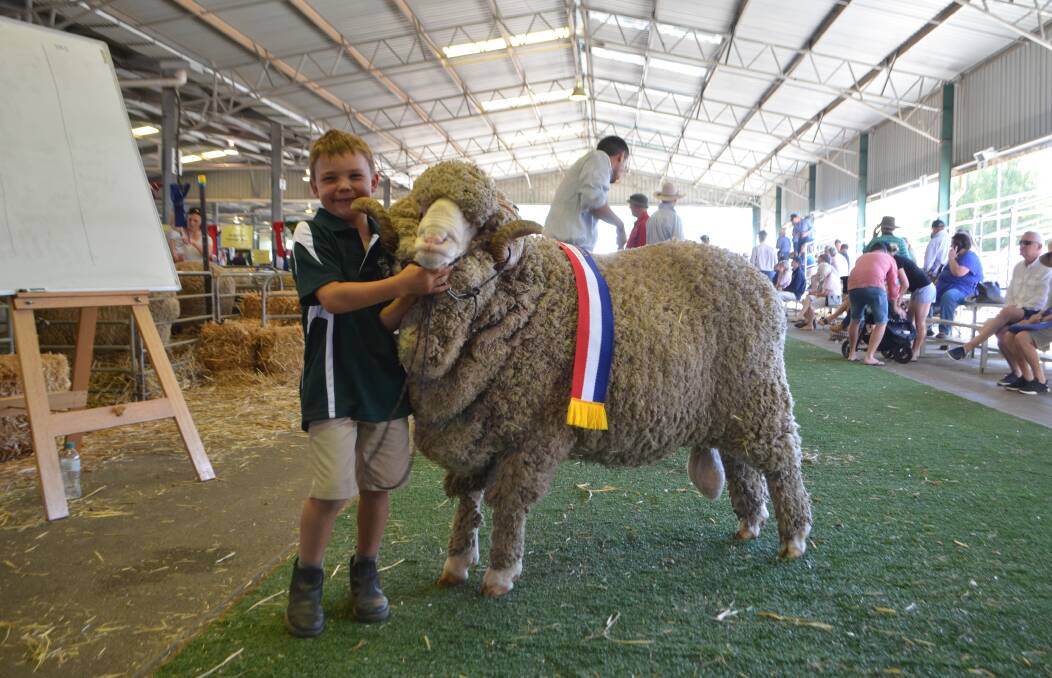 Ben Alcock at Canberra Royal with the champion fine-medium wool Merino ram bred by his grandfather and father, John and Greg Alcock.