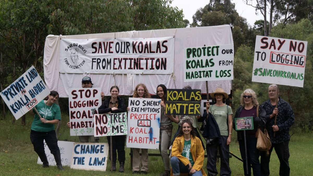 Bega Valley locals gather to support the statewide Koala Action Day. Photo supplied