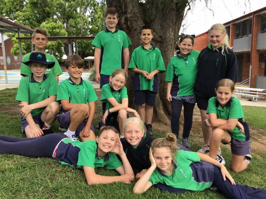 Bega Valley Public School's "Bin Busters" tackle resources going to landfill.
