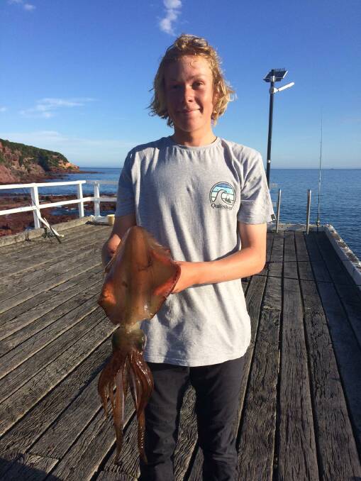 Catch of the day: Local angler Sam Dixon, 16, shows a magnificent southern calamari taken at the Merimbula Wharf on a size 3 jig.