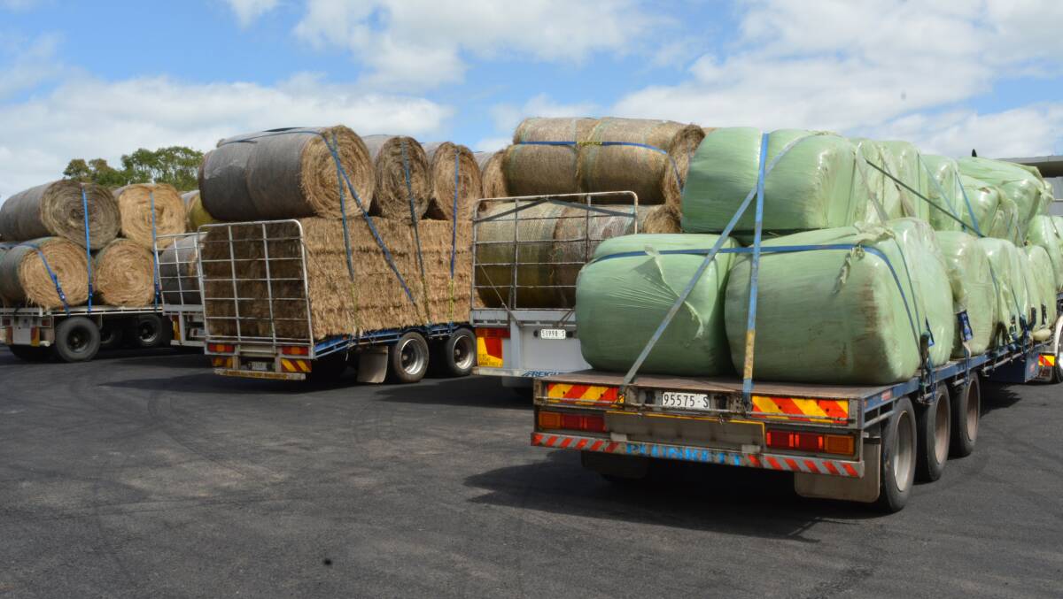 Bega hay delivery brings tears of joy to fire-ravaged farmers