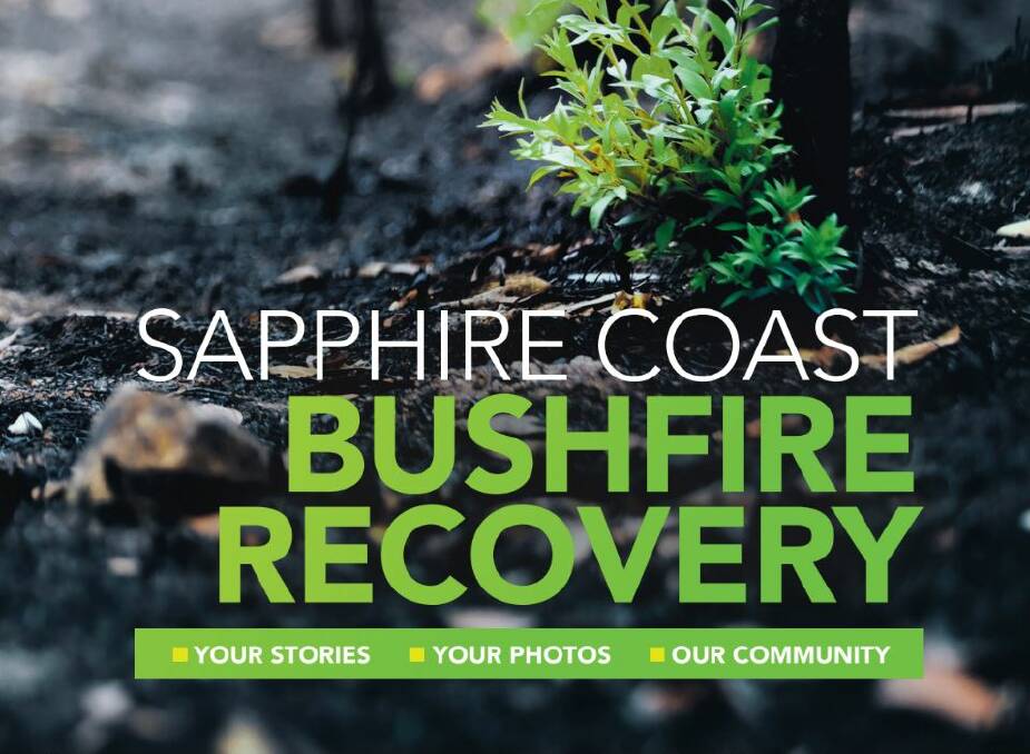 Our Bushfire Recovery feature is available online for BDN subscribers.