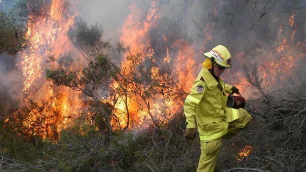 The way fire and emergency services are funded in NSW is changing. Photo: Adam Wright