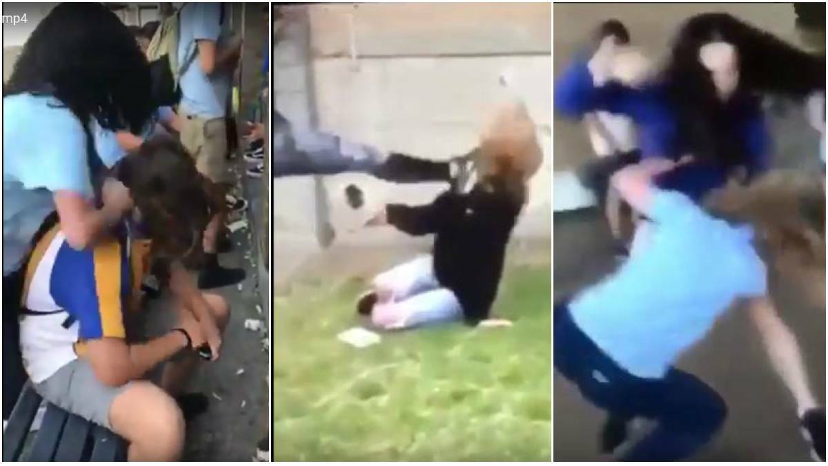 Screenshots from different videos posted to an Instagram page set up to share violent videos by Illawarra youth.