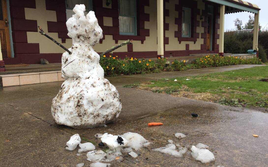This snowman in Nimmitabel was losing parts of itself by Monday morning as the weather turned more to a light rain. Picture: Alasdair McDonald