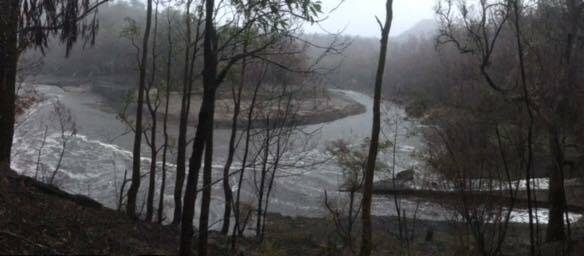 Corner of Jessops Creek and the Brogo River. Photo submitted by Heather and Paul Ralph.