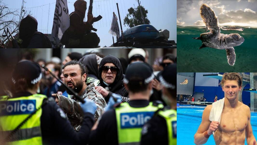 Hundreds arrested during Vic lockdown protests, NSW protests flop