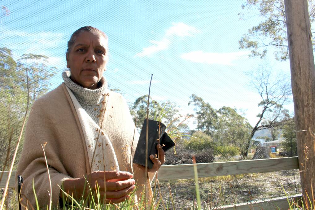 Dedication: Aileen Blackburn-Mongta is sharing her passion for restoring a traditional species of yam. 
