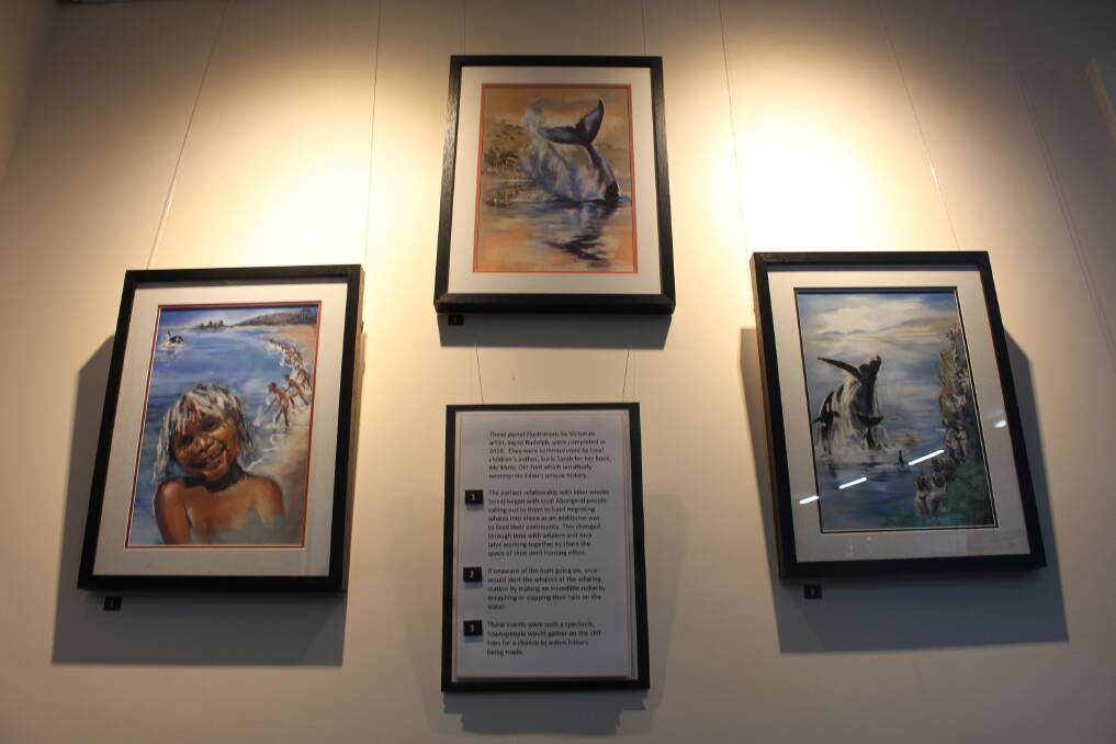 Three original paintings of the book's illustrations by Ingrid Rudolph on display at the Whale Museum.