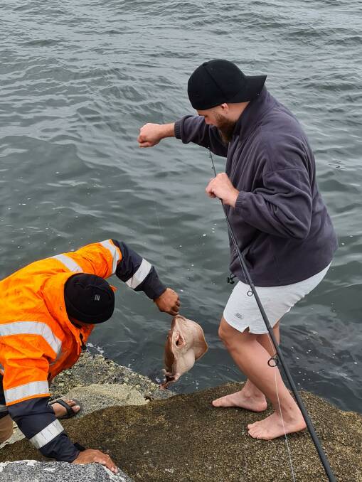 Electric ray: Batemans Bay's Joseph Chalouhi and Ricky Wharepouri reel in a surprise species of ray - one they later learn could have given them a nasty shock. Image: Steve Ker. 