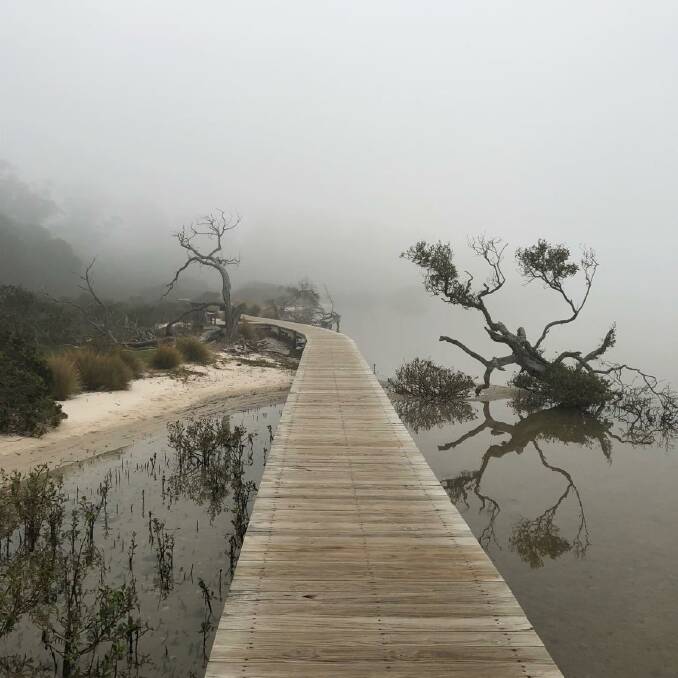 Suzanne Whelan took this amazing shot of Merimbula Boardwalk which encouraged people to comment on Facebook other pictures taken during the fog-fiilled day. 