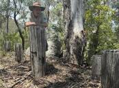 Tim leans on one of many timber posts, driven into the ground by the Voluntary Defence Corps during World War Two, on either side of a road near Cathcart, designed to stop (or at least slow down) any advancing enemy in their tracks. Picture by David Hanzl