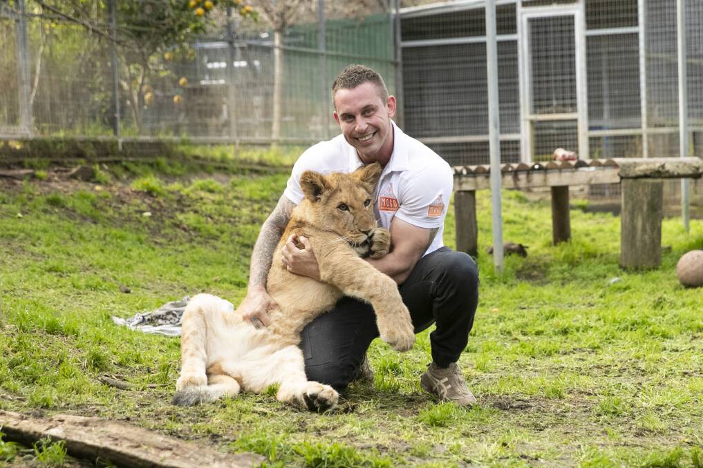 Chad Staples plays with Maji, the orphaned lion cub he hand-raised after her mother died in childbirth last December. Picture: Keegan Carroll.