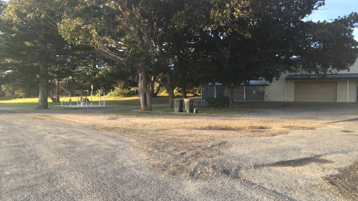 Photograph: The two Mahogany trees adjacent to the Bermagui Surf Club will be the subject of pruning work and retained following a recent community consultation session. Photo: Supplied