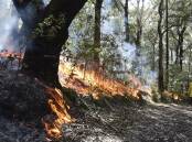 A hazard reduction burn in Beowa National Park from April 18. Picture file