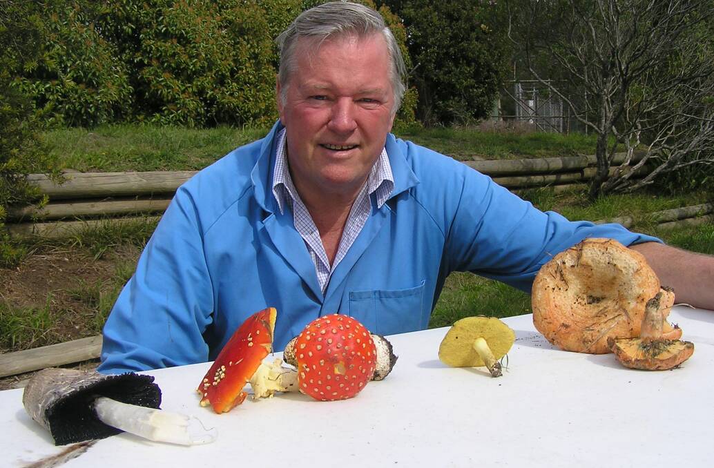 Dr Noel Arrold of Lin Sun Mushrooms with some commonly grown fungi of the Highlands. Photo: supplied