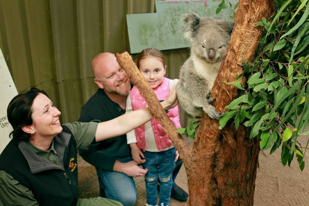 FURRY FRIENDS: Up close and personal encounters with animals can be arranged at Potoroo Palace.
