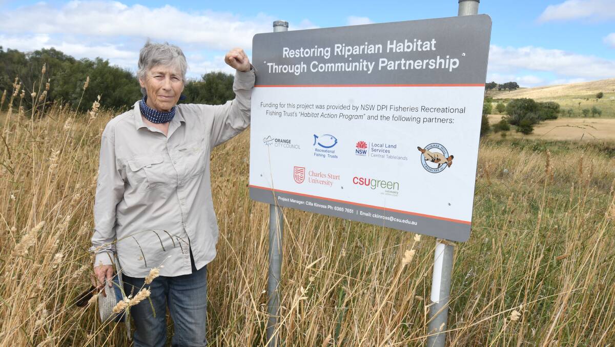 Charles Sturt University adjunct lecturer of environmental management Dr Cilla Kinross at a university rehabilitation site in 2022. Picture by Jude Keogh