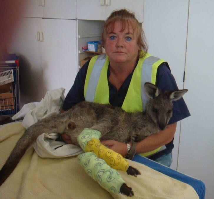 IN SAFE HANDS: Janine Green from Wires with the joey safely in her care. The distressed joey was found after the Tathra fires with burns to her paws.