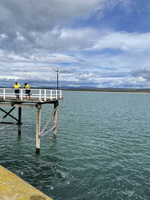 Council staff inspect Merimbula Wharf and the damaged ladder on the right of the photo.