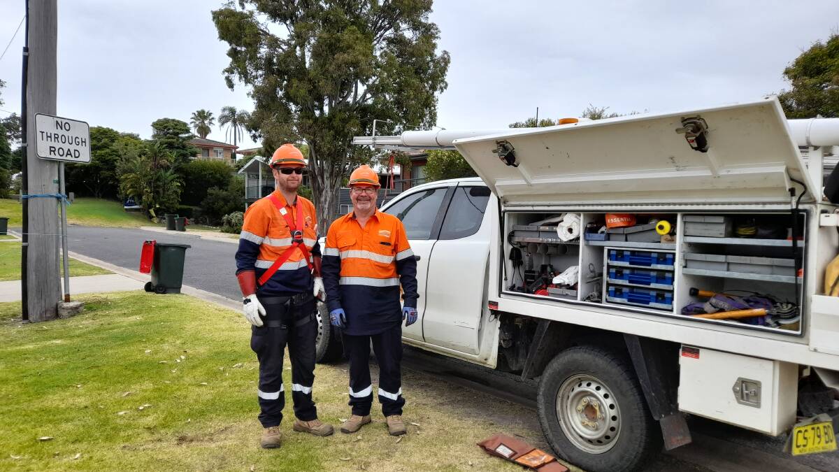 Magpie rescue by Essential Energy, Bega District News