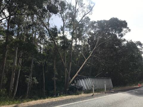 The truck rolled off the Princes Highway around 4am Thursday morning. 