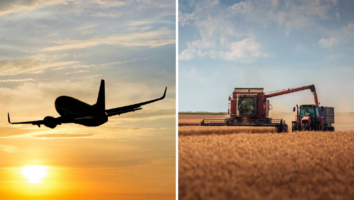Last year they were flying planes, this year pilots are joining the harvest