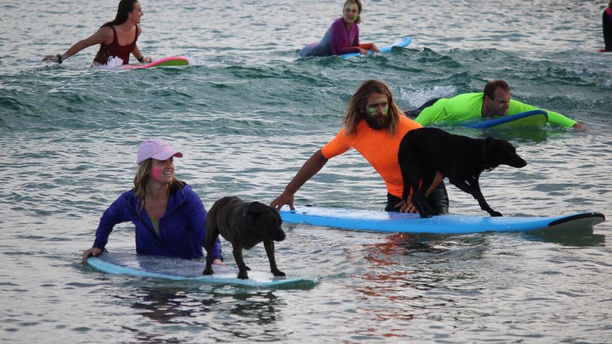 Surfers unite at successful first OneWave event in Bermagui