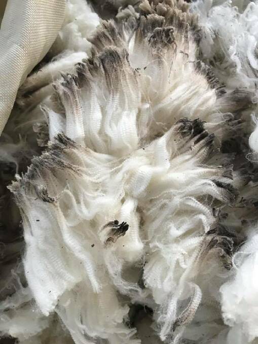 An example of the wool seized by police in the investigation. Picture: Rural Crime - NSW Police Force Facebook page 