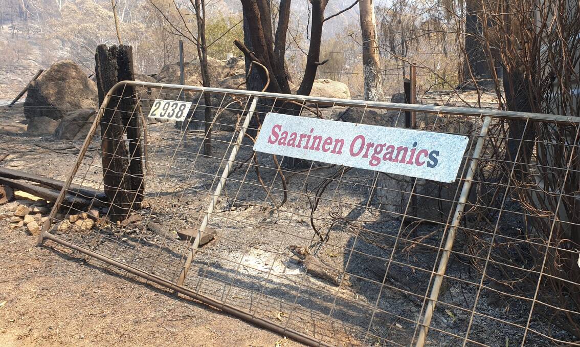 TRAUMATIC: Saarinen Organics lost much of their permaculture farm in the summer bushfires, but their home and lab survived.