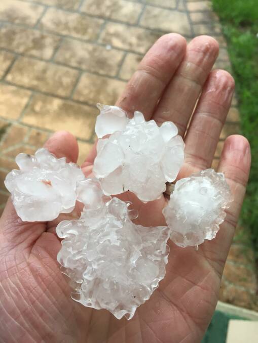 STONE THE CROWS: These hail stones were found by BDN editor Ben Smyth in Bega on Sunday. Over the day to 9am on Monday morning, 13.6mm of rain fell on Bega. 

