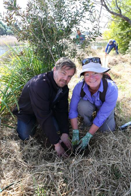 CONSERVATION: Dave Taylor and Michelle Richmond plant a bodalla pomaderris seedling at Panboola on Thursday. Picture: Jacob McMaster