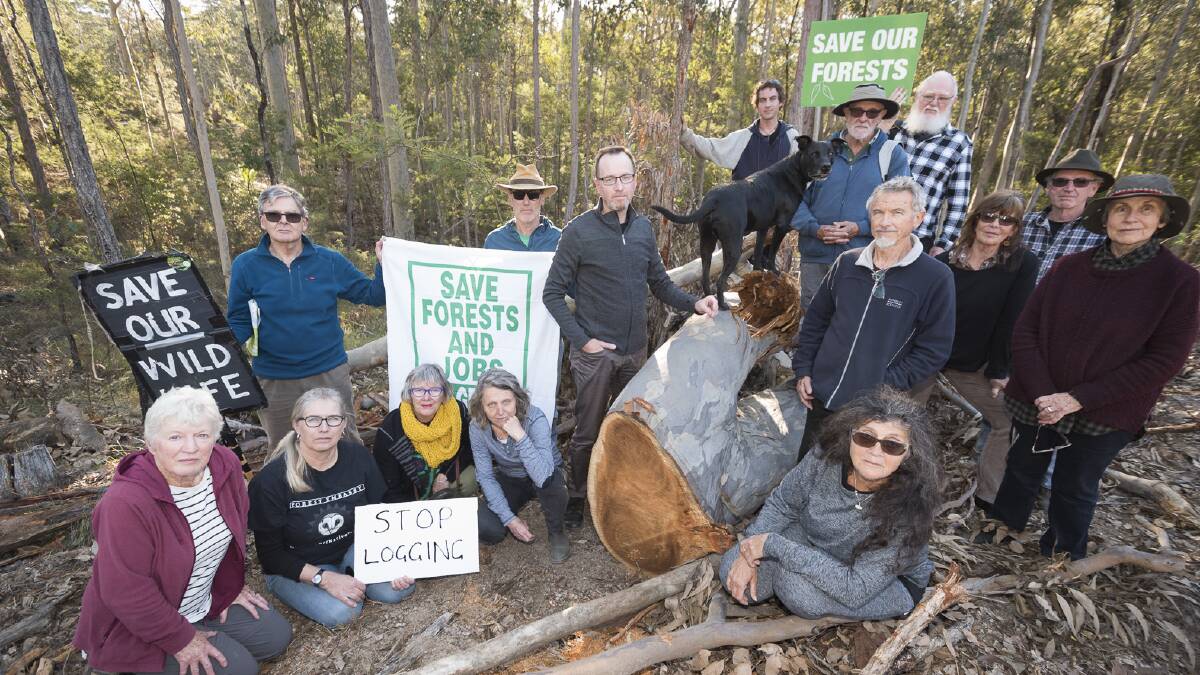 NSW Greens spokesperson for the forests David Shoebridge and supporters of Friends of the Forests, Mogo gather around a tree top approximately 60cm in diameter. 