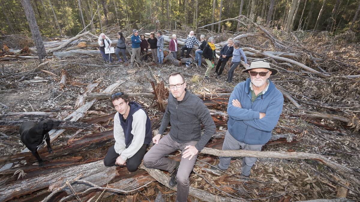 Mitch Vella, David Shoebridge and Derek Anderson of Coast Watchers with supporters of Friends of the Forests in the background, surrounded by trees cut down near Mogo.
