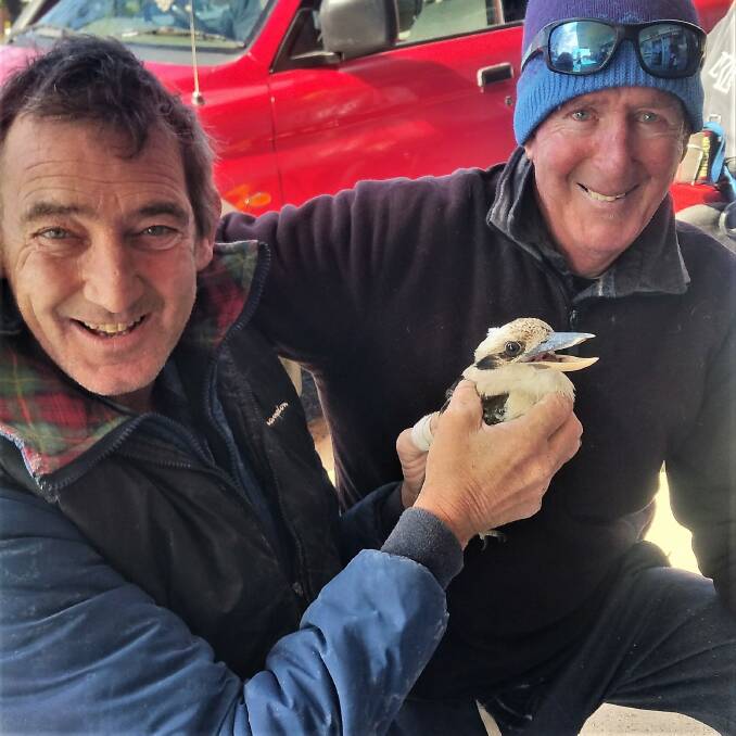 FEATHERED FRIEND: Leon Jones and Rob "Frog" Little hold the kookaburra they rescued while fishing off from Tathra. Picture: Supplied