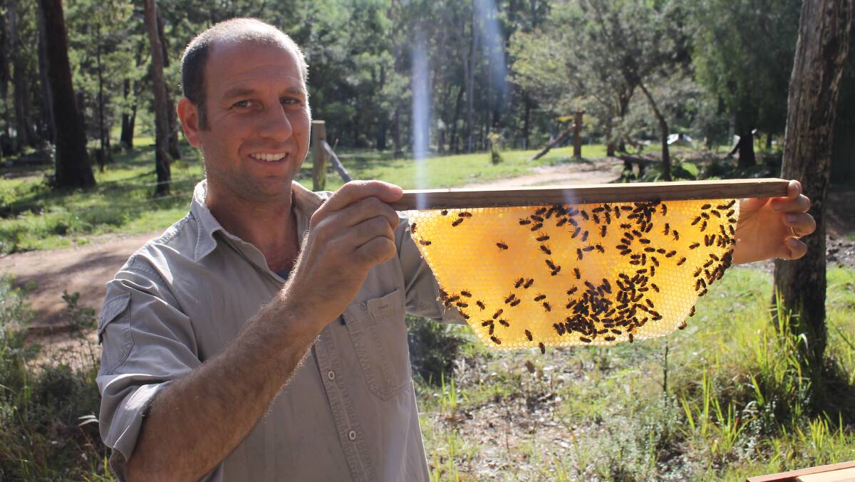 BUZZING WITH NEW THOUGHTS: Adrian Iodice, who will speak about "what if we pollinated the planet" at the festival, holds a comb from one of his hives.