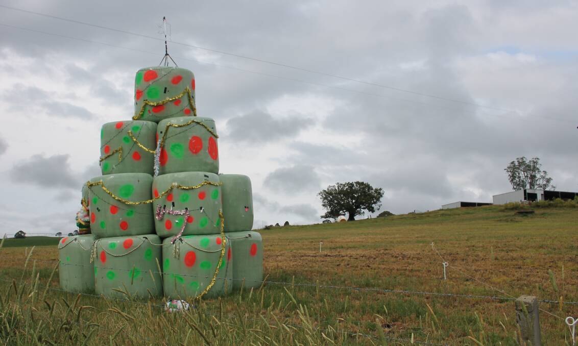 FESTIVE IDEA: How good is this?! This hay bale Christmas tree was spotted besides the Princes Hwy just south of the Brogo pass. Keep an eye out for it on your travels. 