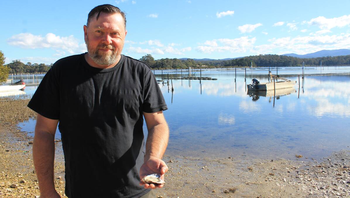WINNER: Wapengo Rocks owner Shane Buckley holds one of his freshly opened oysters on a beautiful day at his farm on Wapengo Lake. 