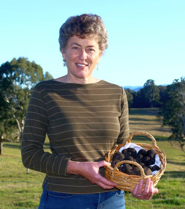RARE HARVEST: Fiona Kotvojs said she hoped the South Coast could become a hub for growing truffles in Australia. 
