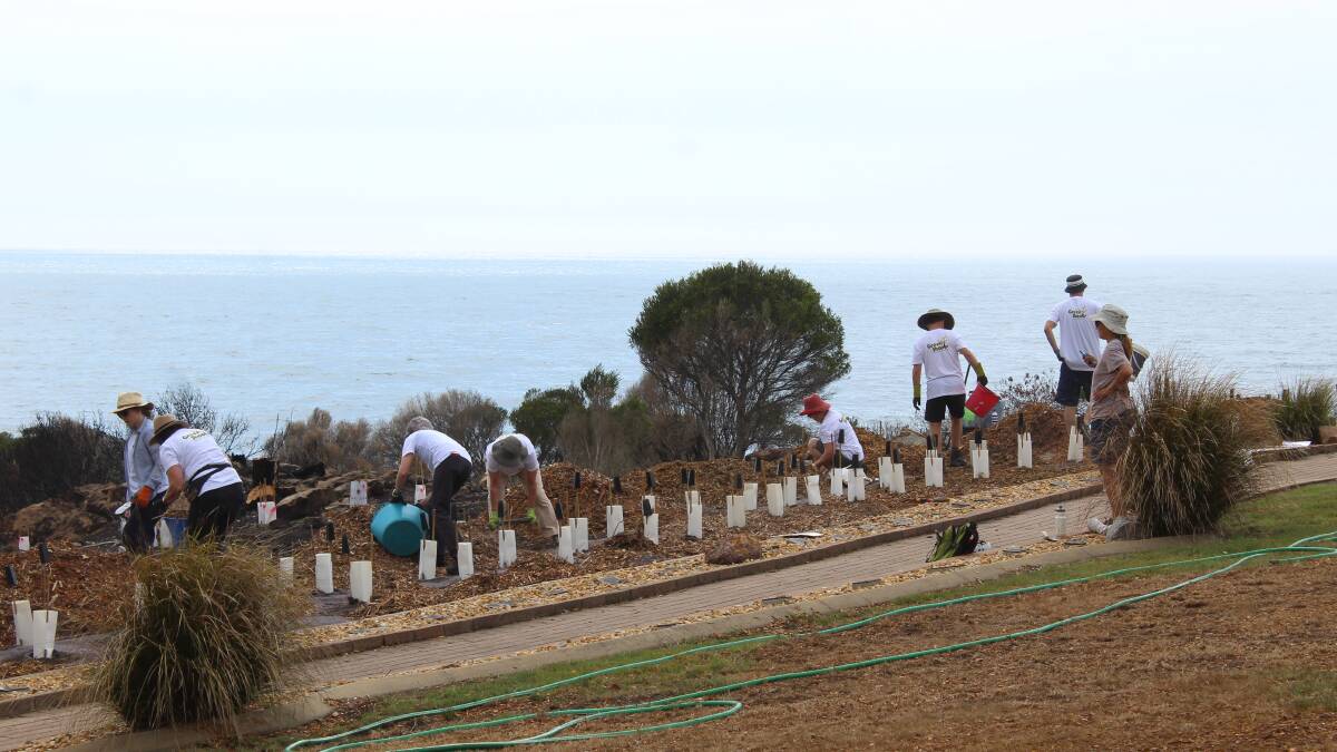 Tathra Headland planting day helps with community’s healing