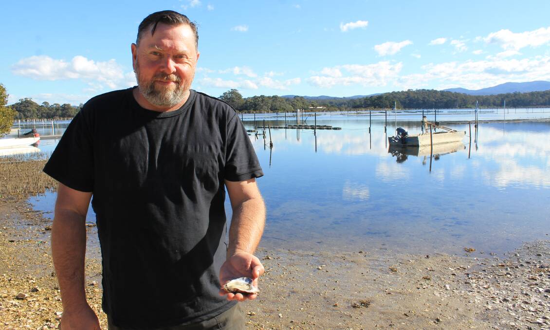 WINNER: Shane Buckley holds one of his oysters on a beautiful day at his farm on Wapengo Lake in 2016. 