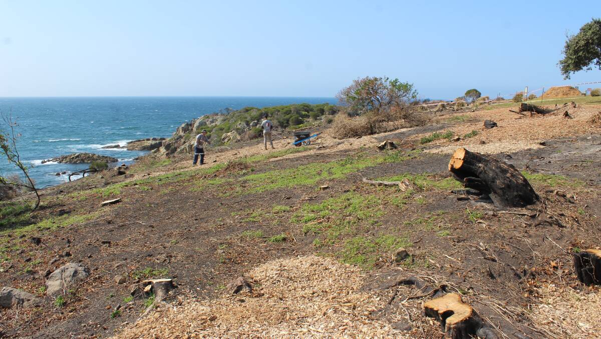 Team Rubicon members spread mulch around Tathra Headland. 