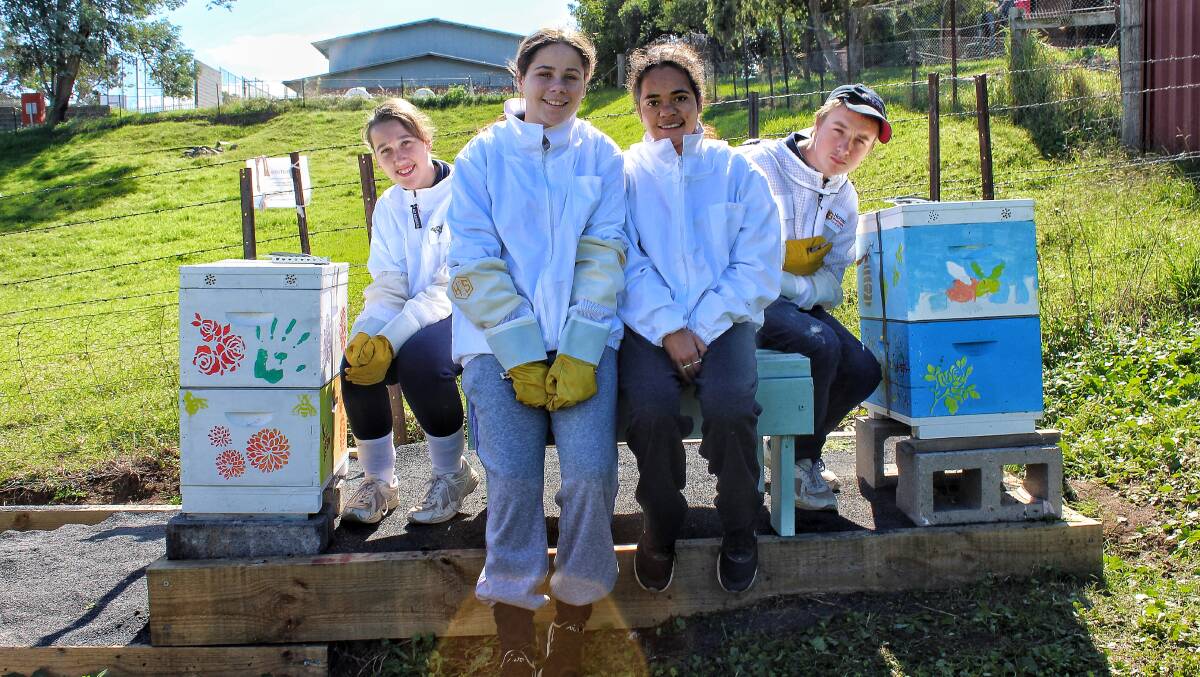 BEEKEEPERS: BHS's Sarah Young of Year 12, Kyeesha Wickey of Year 7, Amelia Tomkins of Year 10 and Tyson Tetley of Year 7 with the new hives.