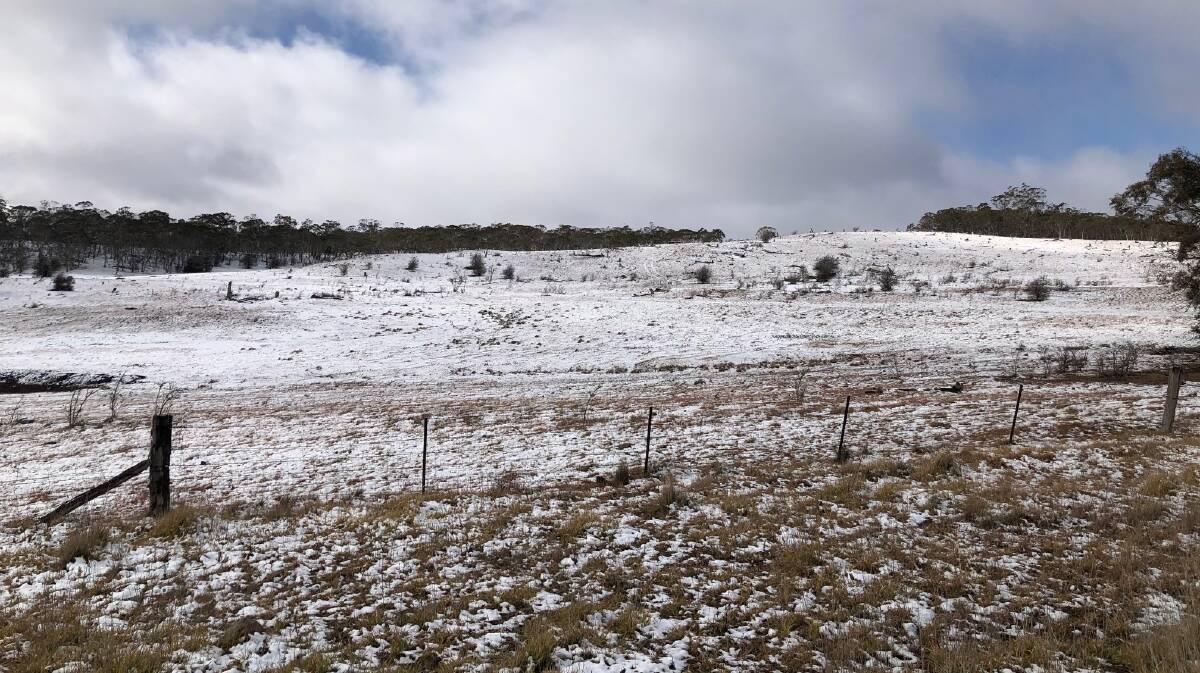 WINTERTIME: Snowfall just outside Nimmitabel on the day of the Eden-Monaro byelection. Picture: Elliot Williams